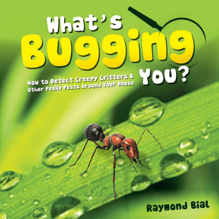 whats-bugging-you-debug-the-myths